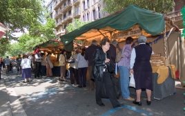 3a Fiesta del Comercio con Feria Modernista 2006 (5)