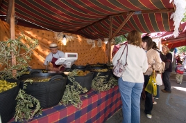 3a Fiesta del Comercio con Feria Modernista 2006 (8)