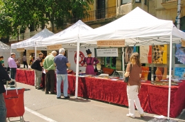 7a Fiesta del Comercio con Feria Modernista 2010 (3)