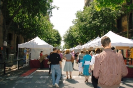7th Street Trade Festival with Modernista Fair 2010 (14)